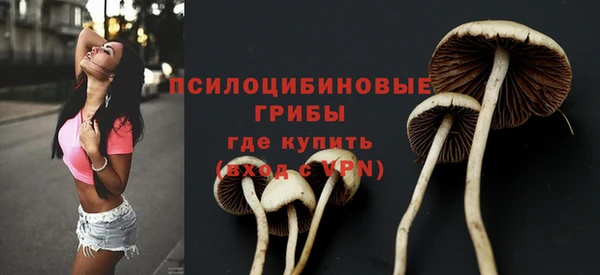 прущие грибы Корсаков