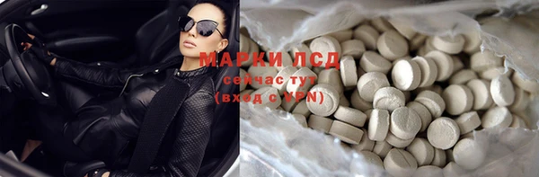 прущие грибы Корсаков
