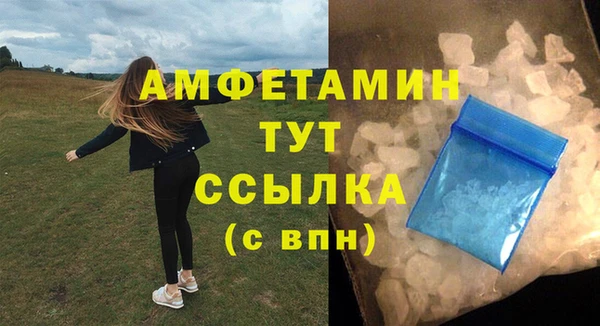 прущие грибы Корсаков
