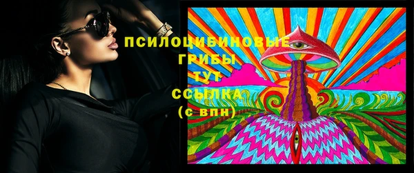 таблы Краснослободск