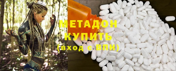 прущие грибы Корсаков