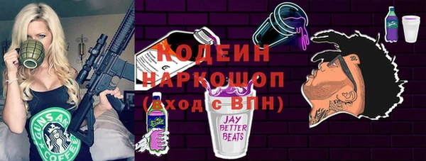 прущие грибы Корсаков