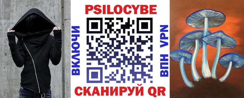 Купить где  Болхов  Псилоцибиновые грибы Psilocybe 